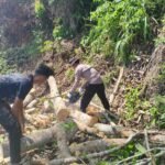 Respon cepat Polsek Wara dan PLN Kerjasama Pembersihan Pohon Tumbang yang Sempat Menghambat Akses Warga