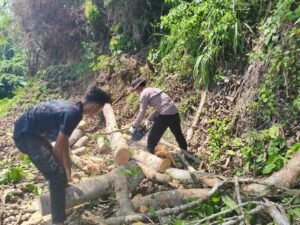 Respon cepat Polsek Wara dan PLN Kerjasama Pembersihan&hellip;