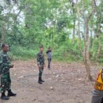 TNI-Polri Bubarkan Judi Sabung Ayam di kelurahan wara selatan palopo