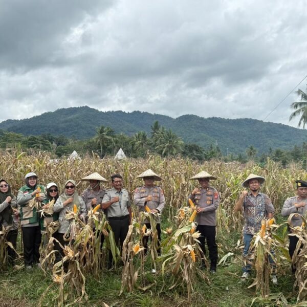 Polres Palopo Panen Raya Jagung Serentak Kuartal I&hellip;