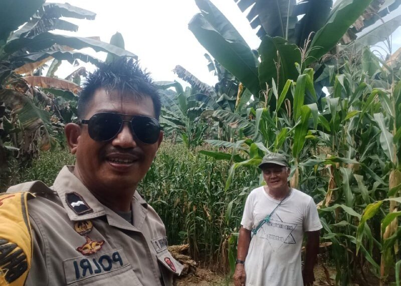 Bhabinkamtibmas Pentojangan Palopo Monitoring Tanaman Jagung&hellip;